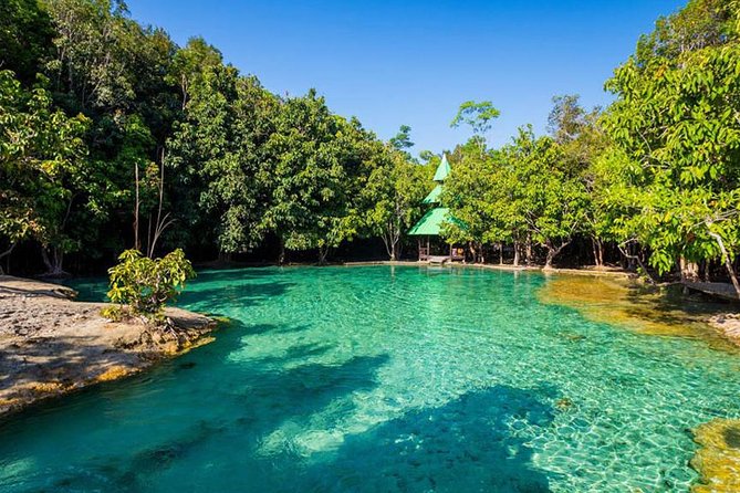 A secluded eco-lodge in a tropical forest near the coast